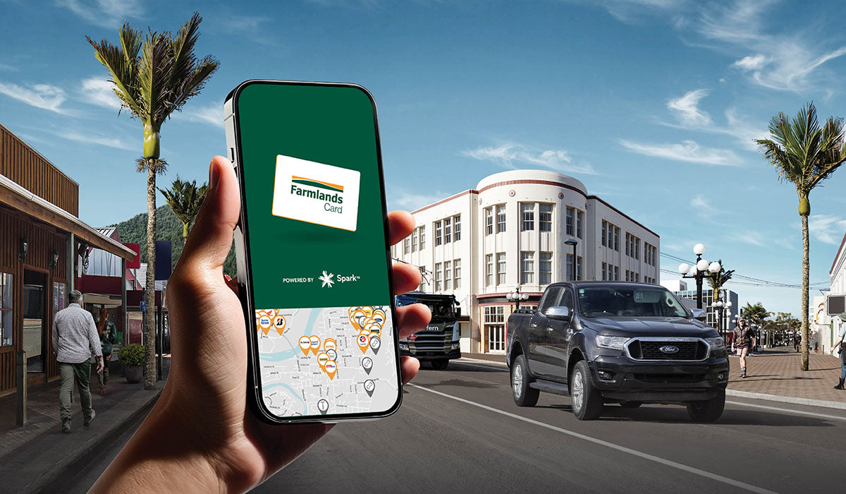 How to Boost Your Shopify Sales with Social Media