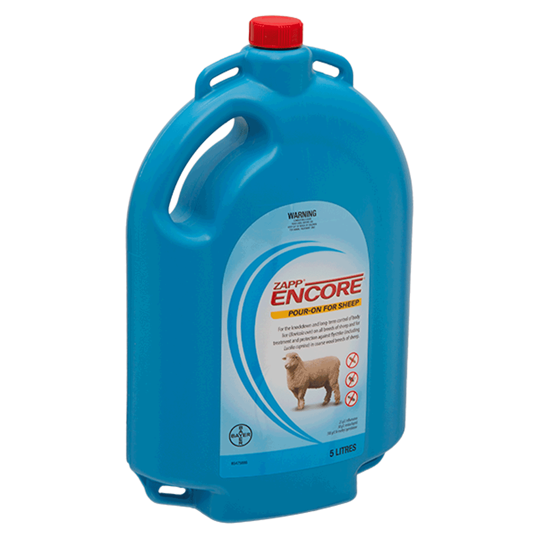 sheep♪ 40% off on Baby Sheep White Noise Machine | OneDayOnly