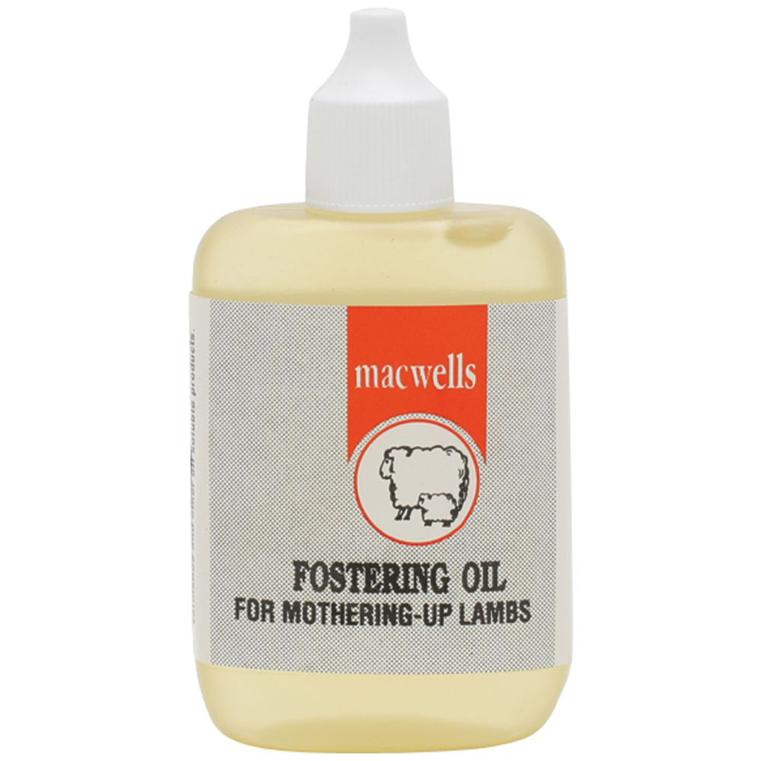 Macwells Fostering Oil 40ml