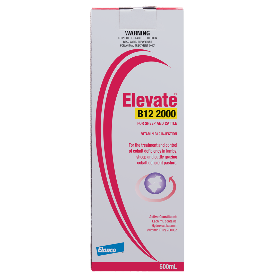 Elevate B12 2000 Plain 500ml