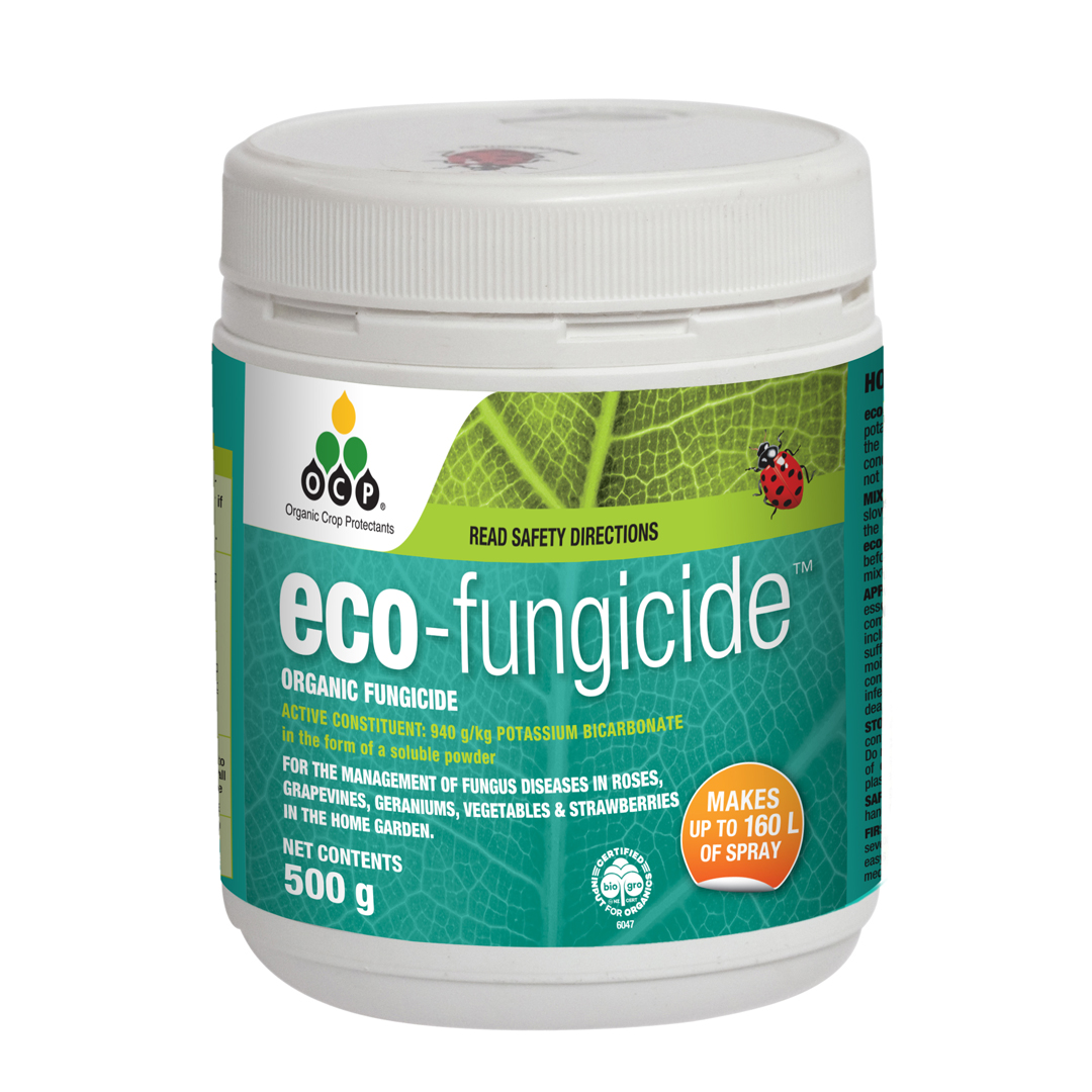 Eco Fungicide Organic Concentrate 500g