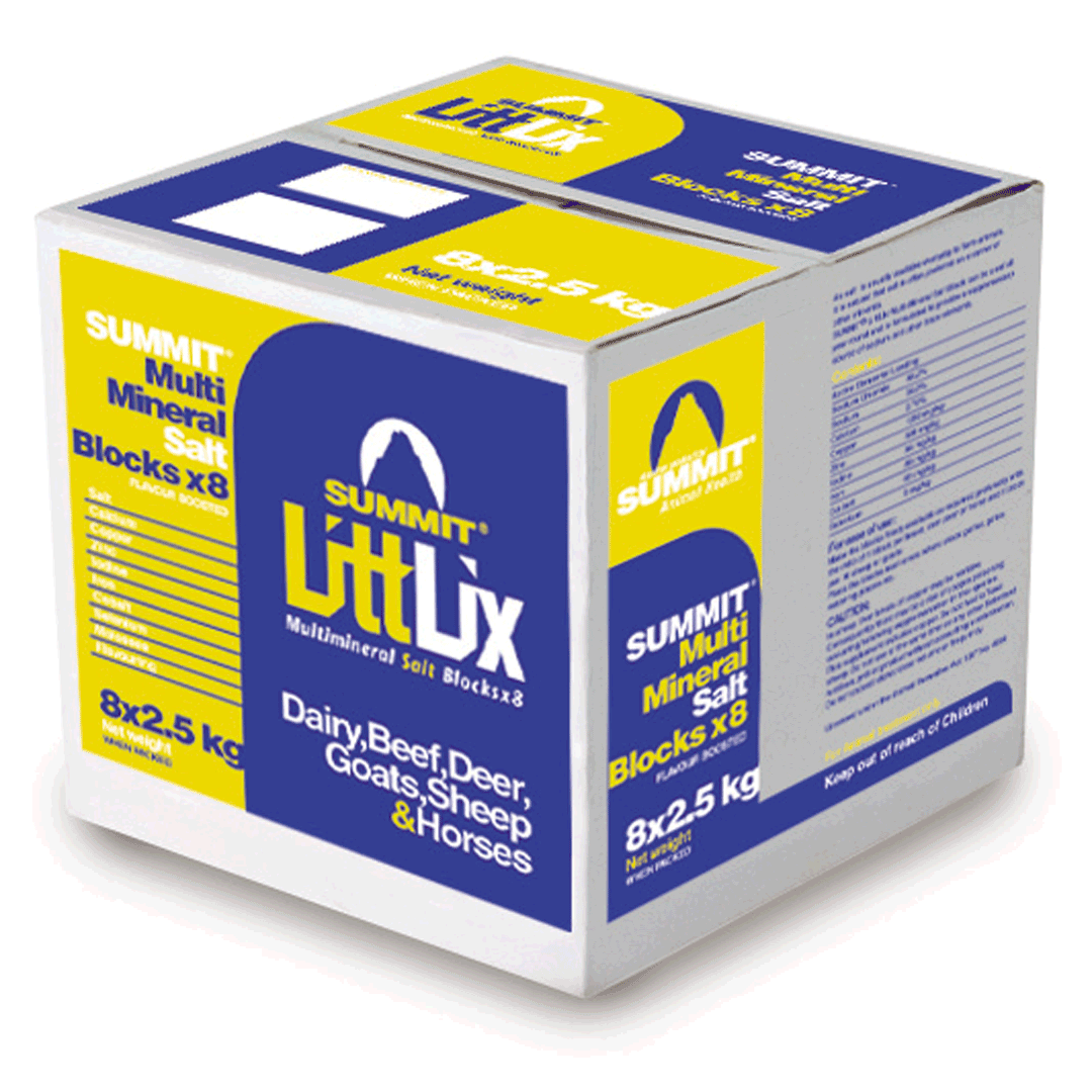 Dominion Summit Littlix Salt Blocks 2.5kg