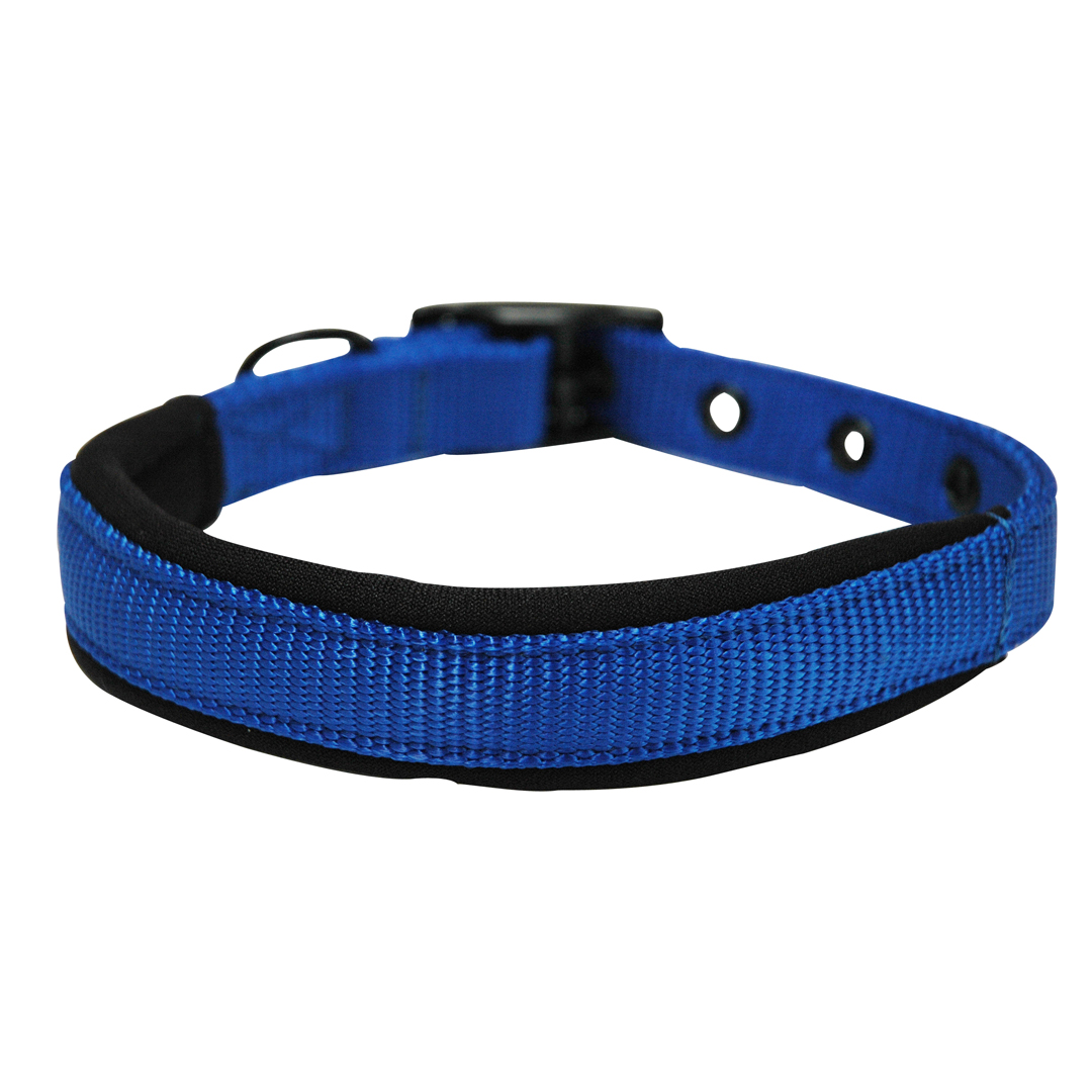 Yours Droolly Easy Street Foam Collar