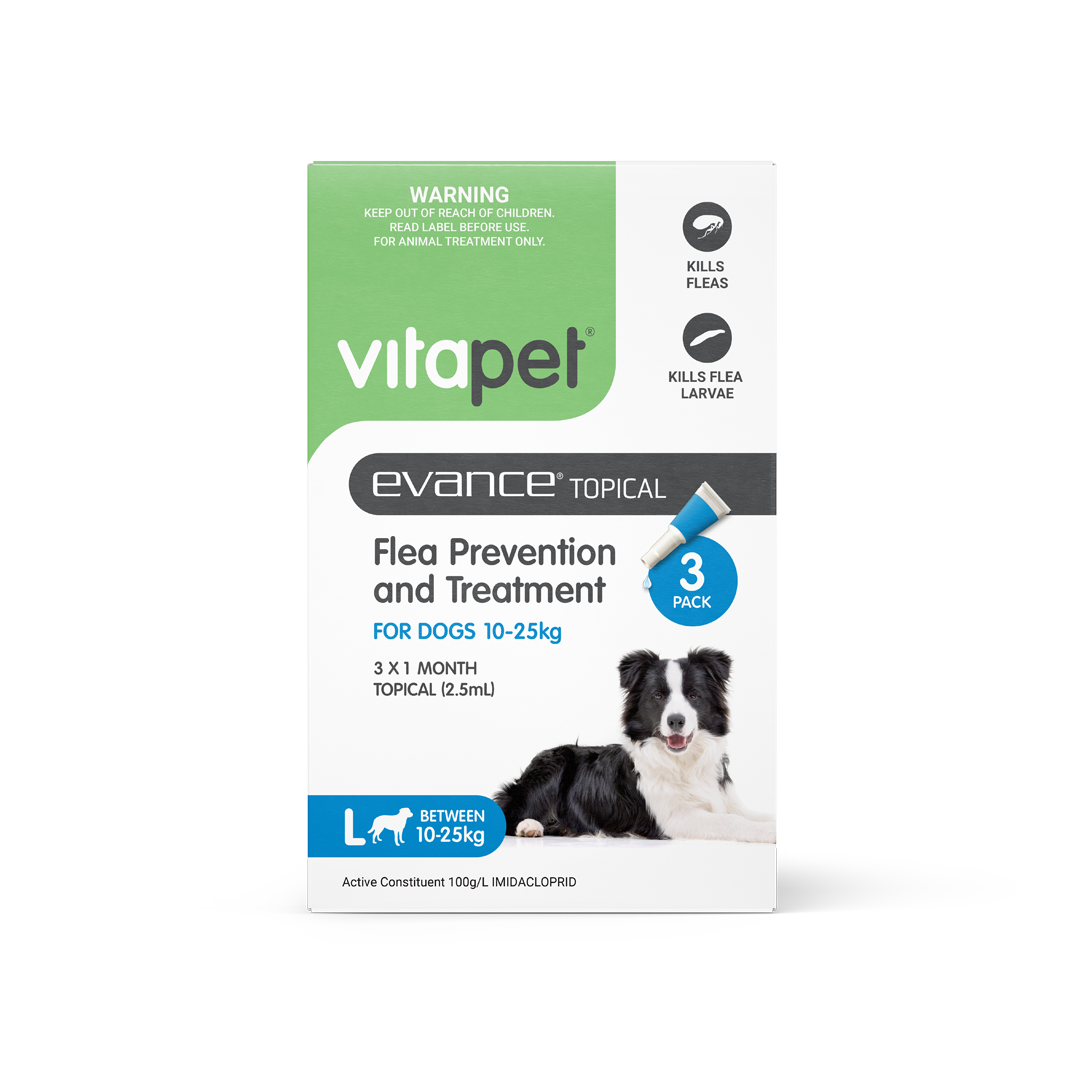 Evance Flea Prevention & Treatment Dog 10 To 25kg