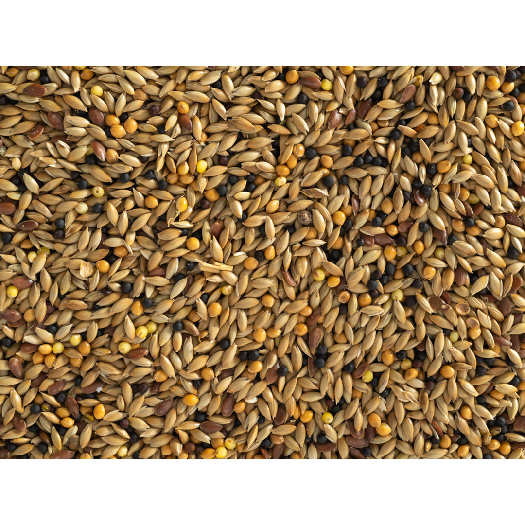 Topflite Canary Mix 10kg