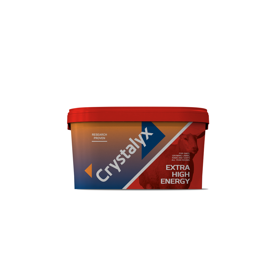 Crystalyx Extra High Energy Sheep Block 22.5kg