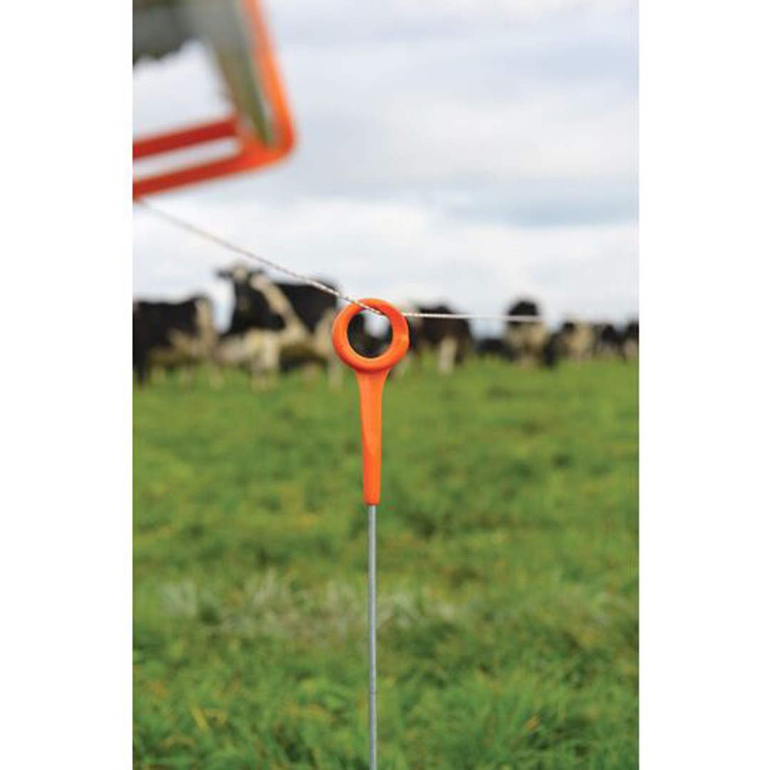 Gallagher Ring Top Post 850mm x 6mm White 10 Pack