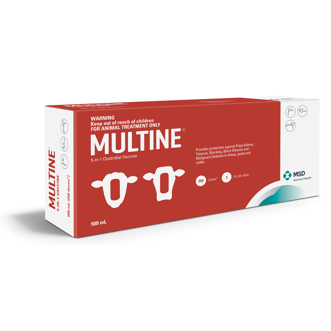 Multine 5 In 1 Plain Vaccine 500ml