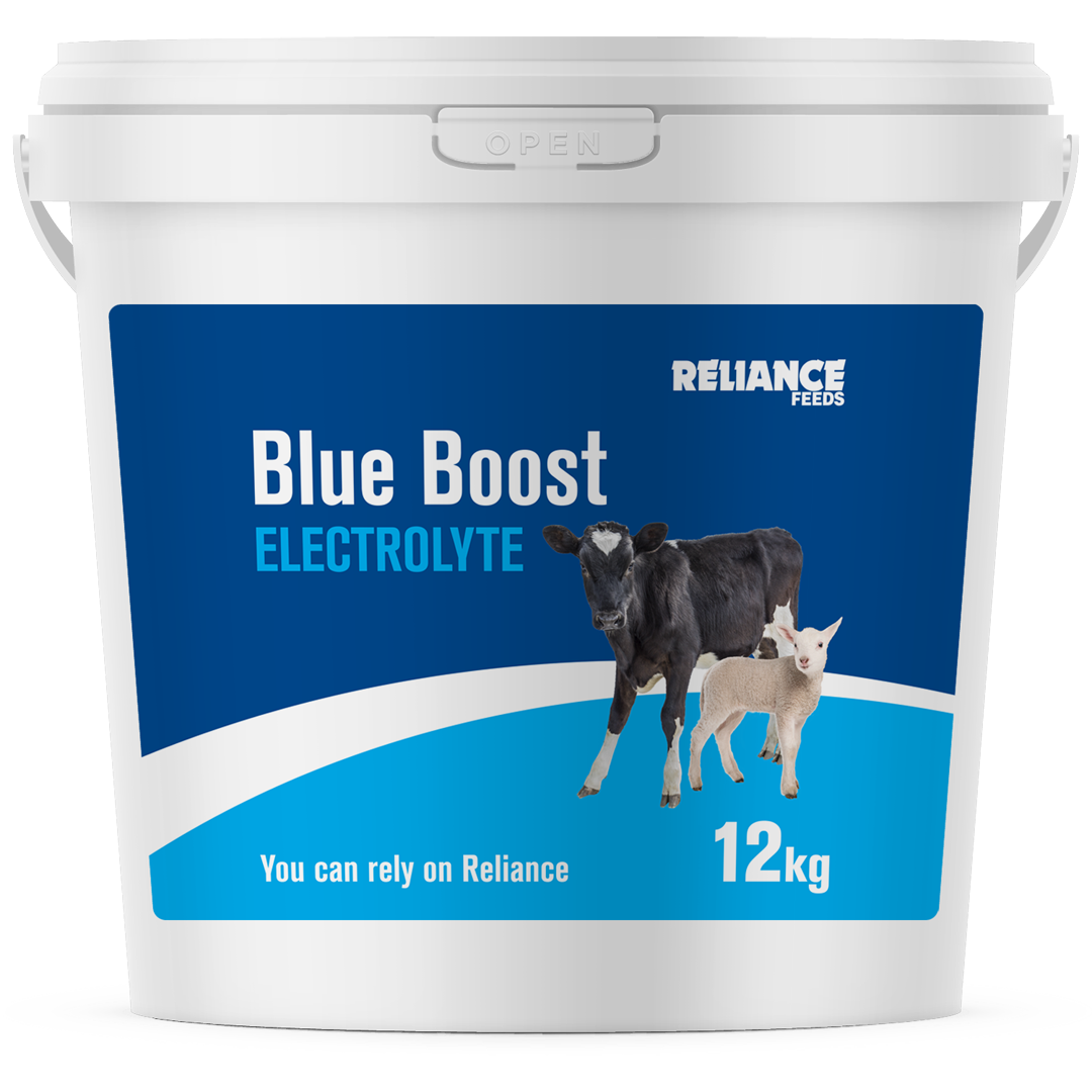 Reliance Blue Boost Electrolyte 12kg