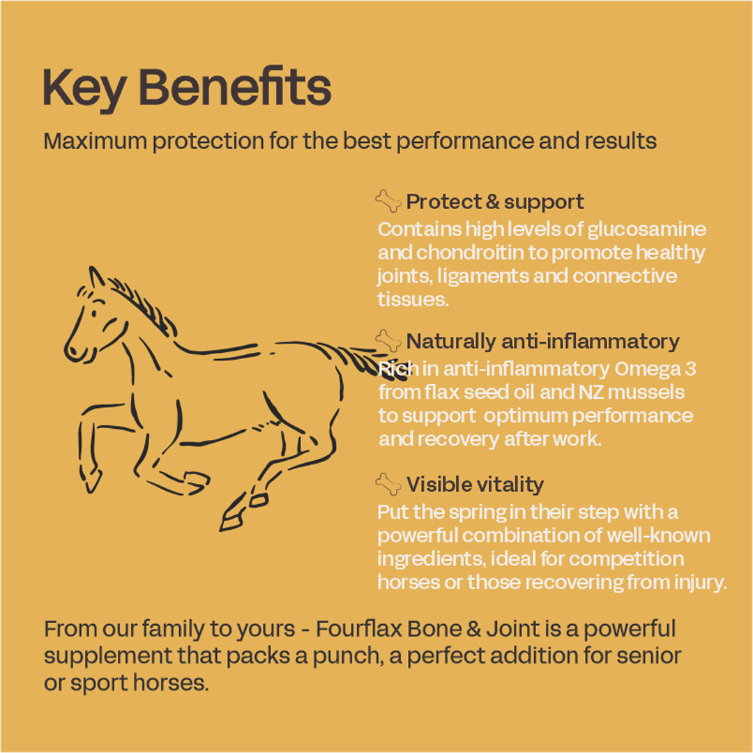 Fourflax Equine Bone & Joint Oil 2.5L