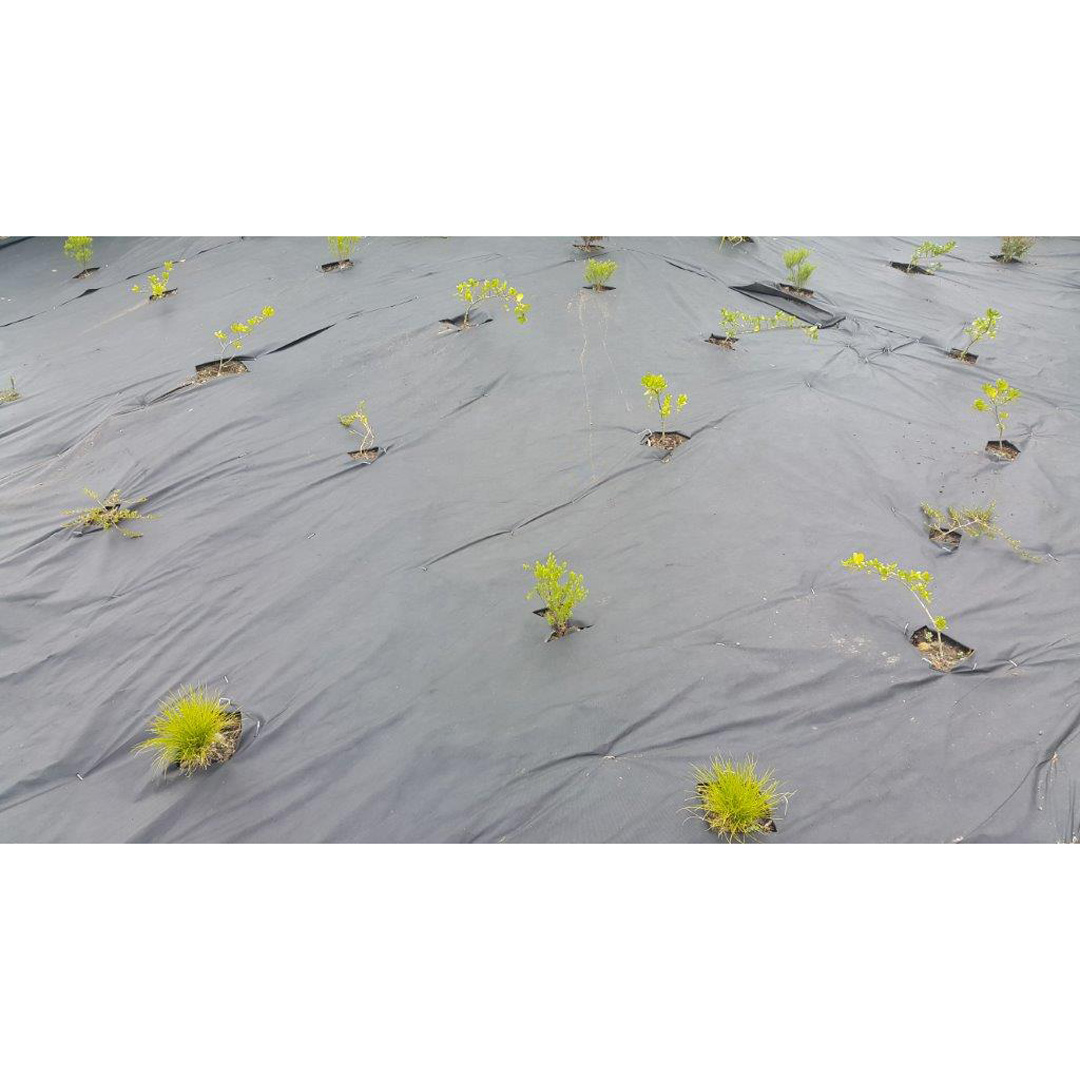 Geocil Weedmat Non Woven 1m x 50m Black