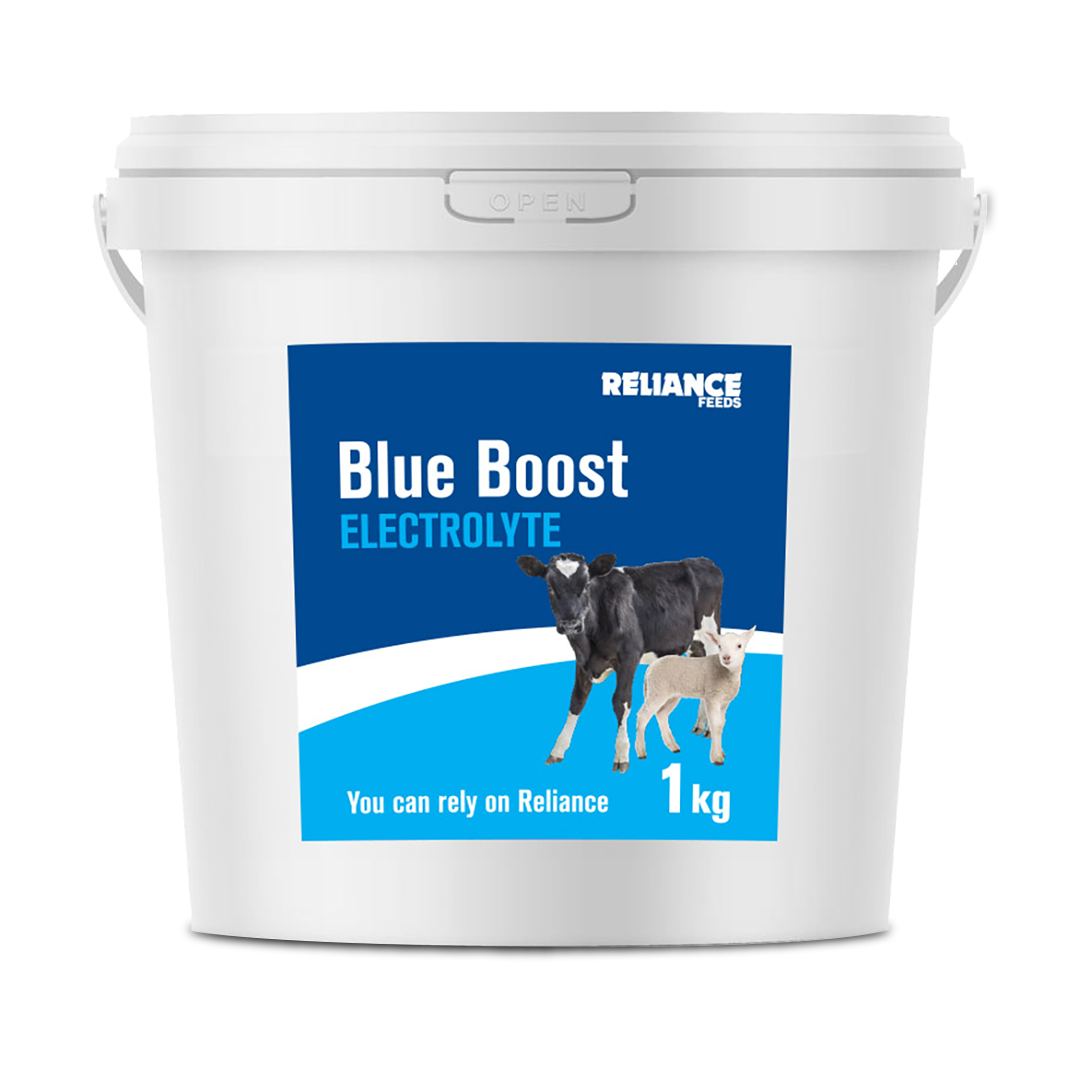 Reliance Blue Boost Electrolyte 1kg