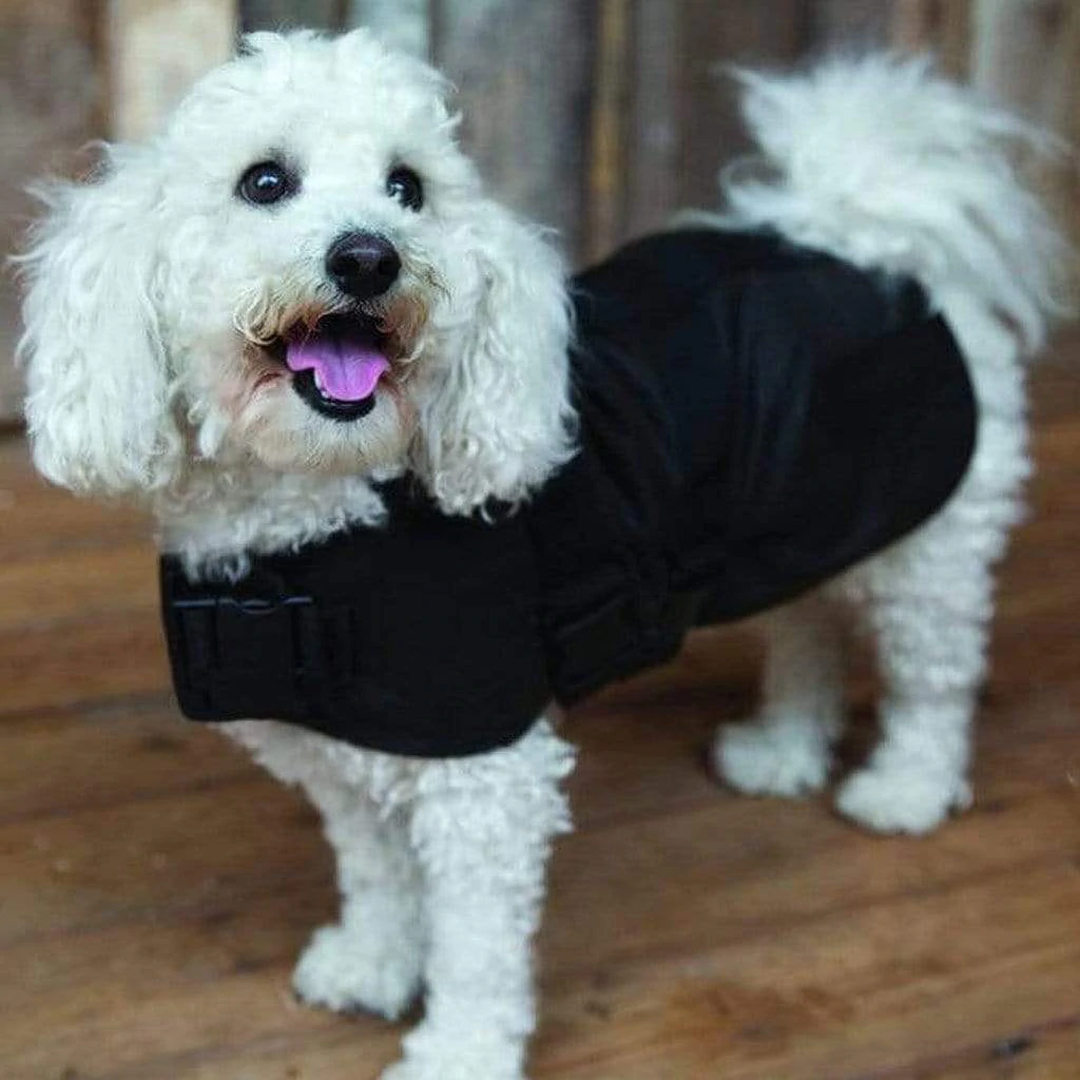 Outback Clancy Oilskin Dog Coat