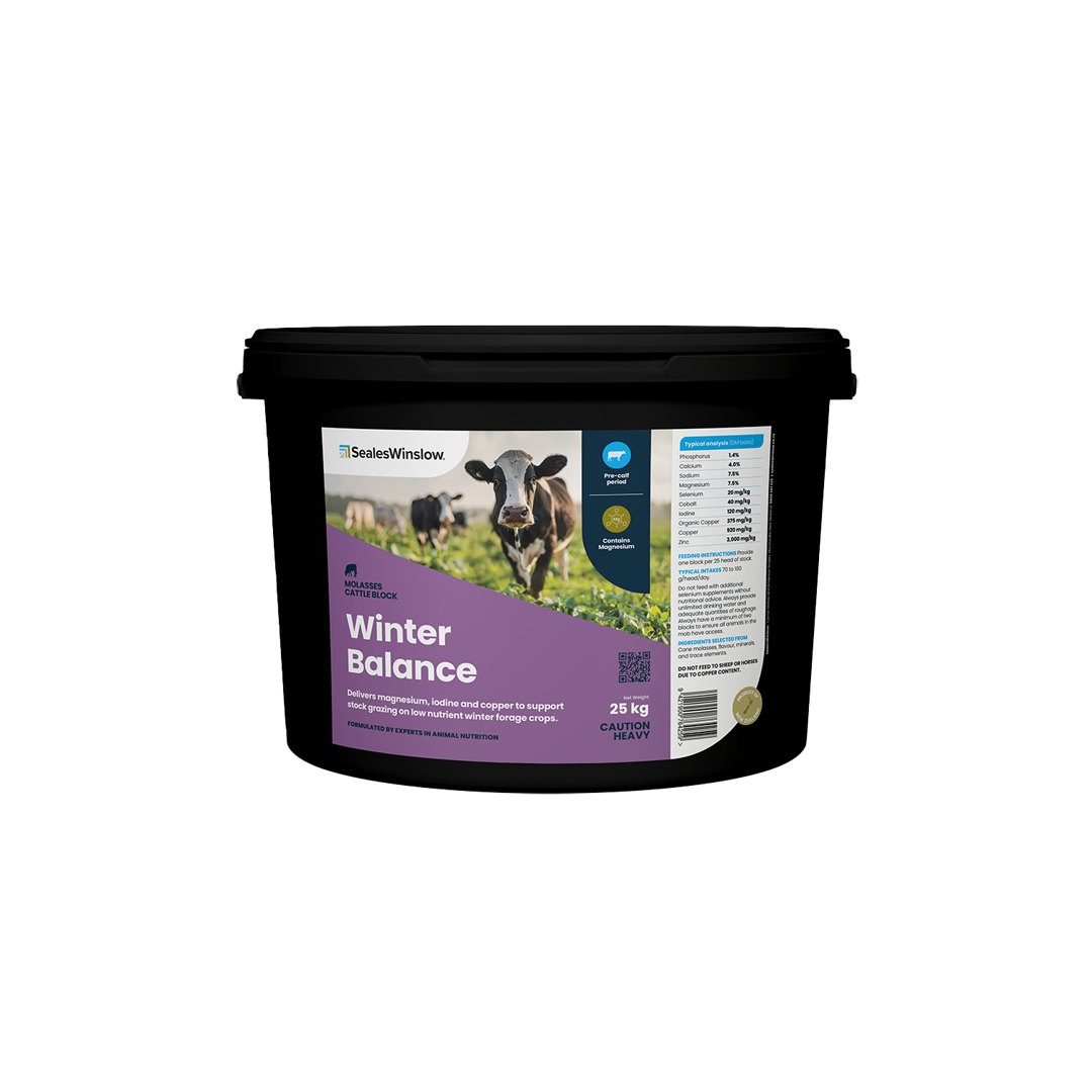 SealesWinslow Cattle Winter Balance Block 25kg