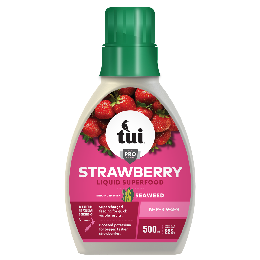 Tui Strawberry Liquid Superfood 500ml