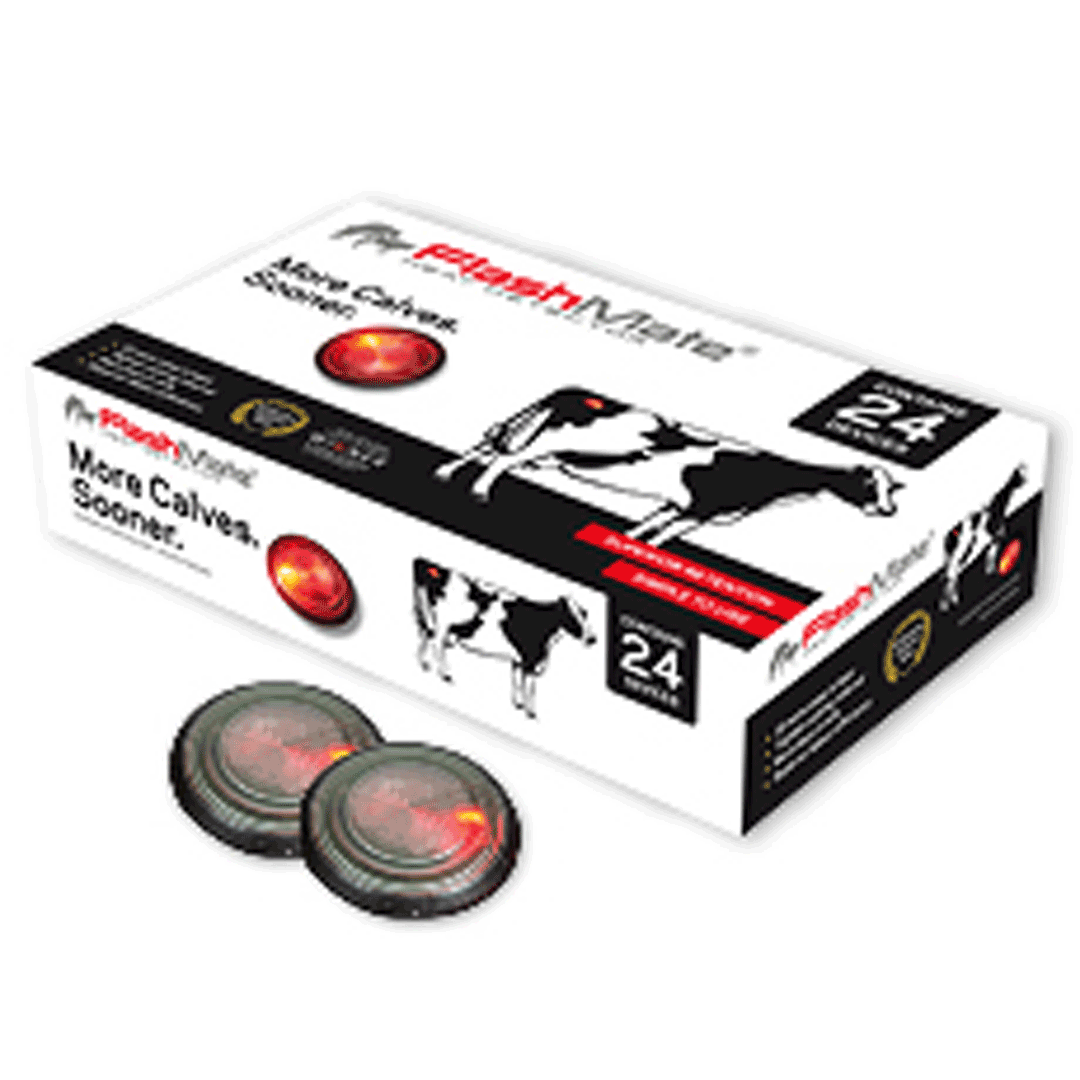 Flashmate Complete With 1 x Spray Glue 24 Packet