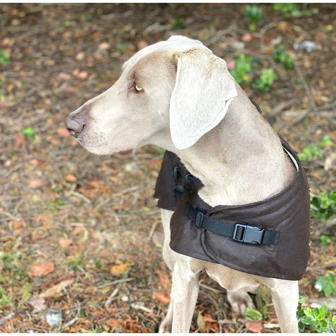 Outback Clancy Oilskin Dog Coat