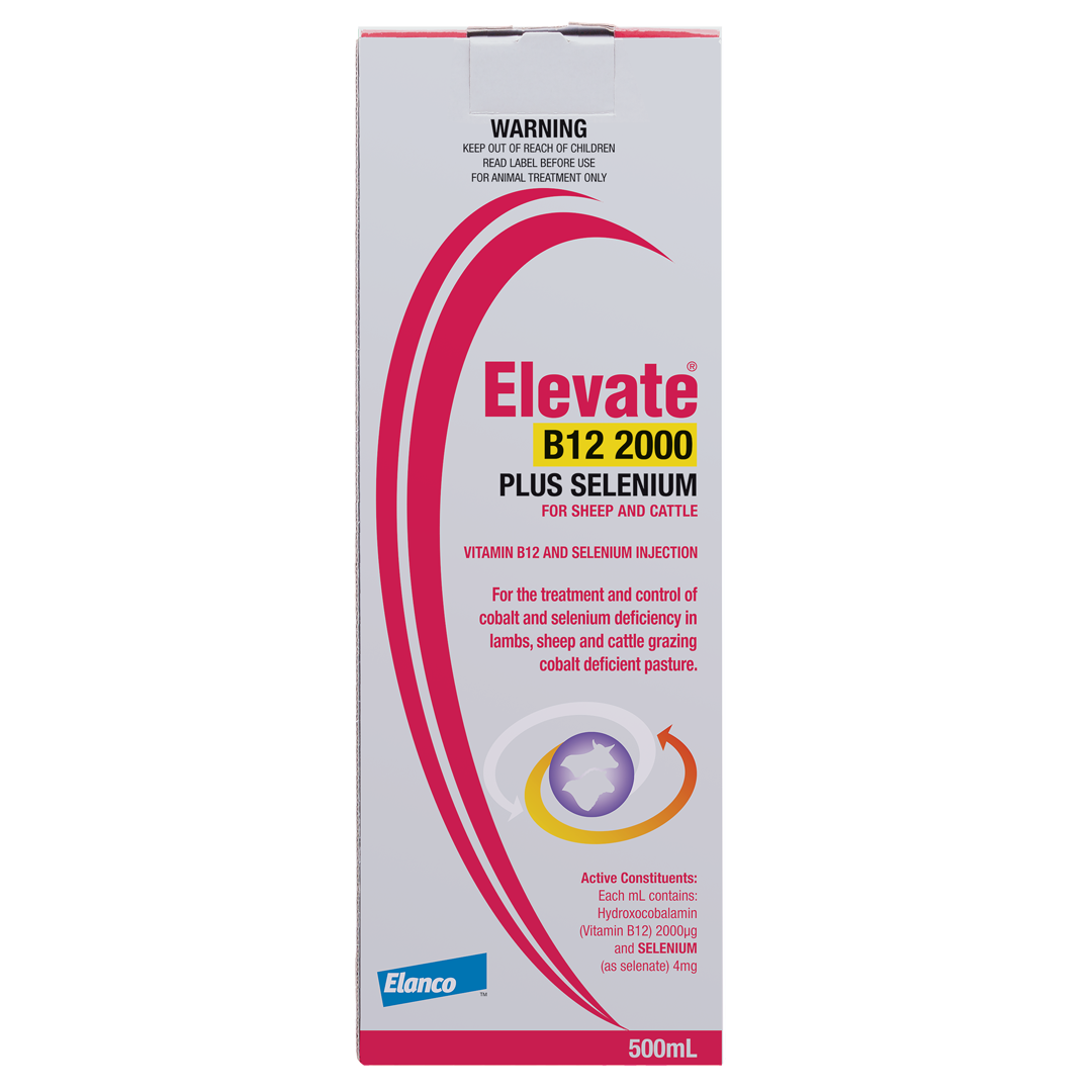Elevate B12 2000 Sel 500ml