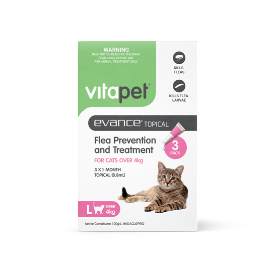 Evance Flea Prevention & Treatment Cat Over 4kg
