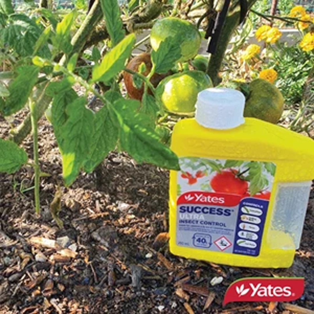 Yates Success ULTRA Insect Control 200ml