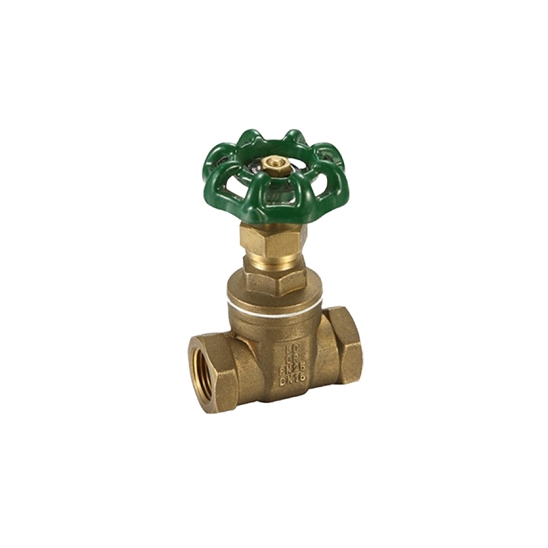 Promax Gate Valve 100mm