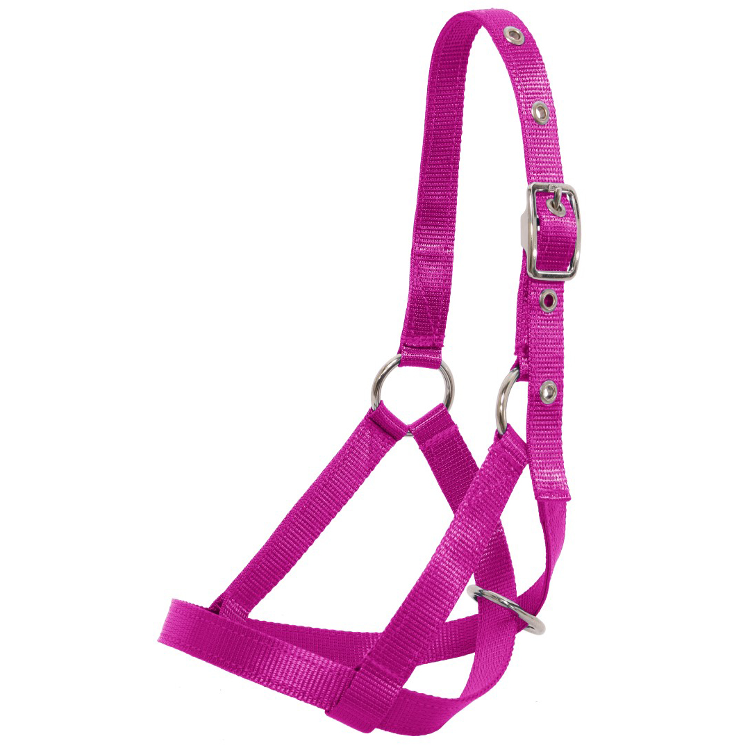 Arion Flair Economy Nylon Halter