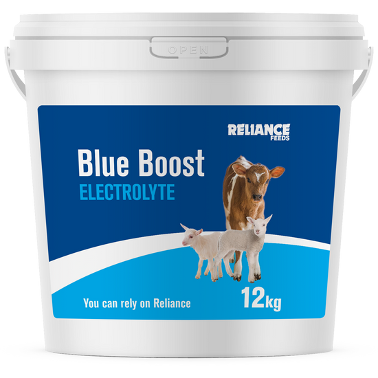 Reliance Blue Boost Electrolyte 12kg