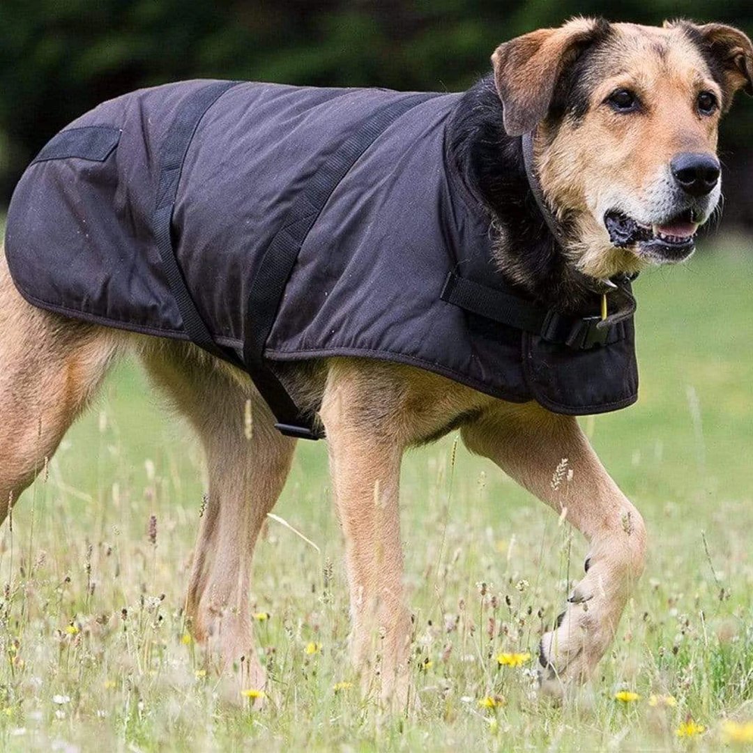 Outback Clancy Oilskin Dog Coat