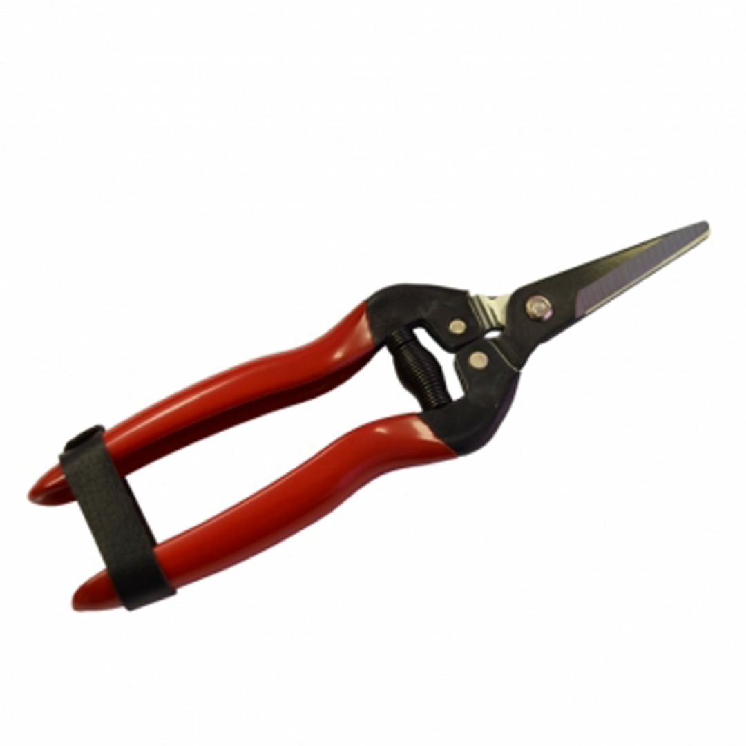 Pro Horto Fruit Snip Long Nose