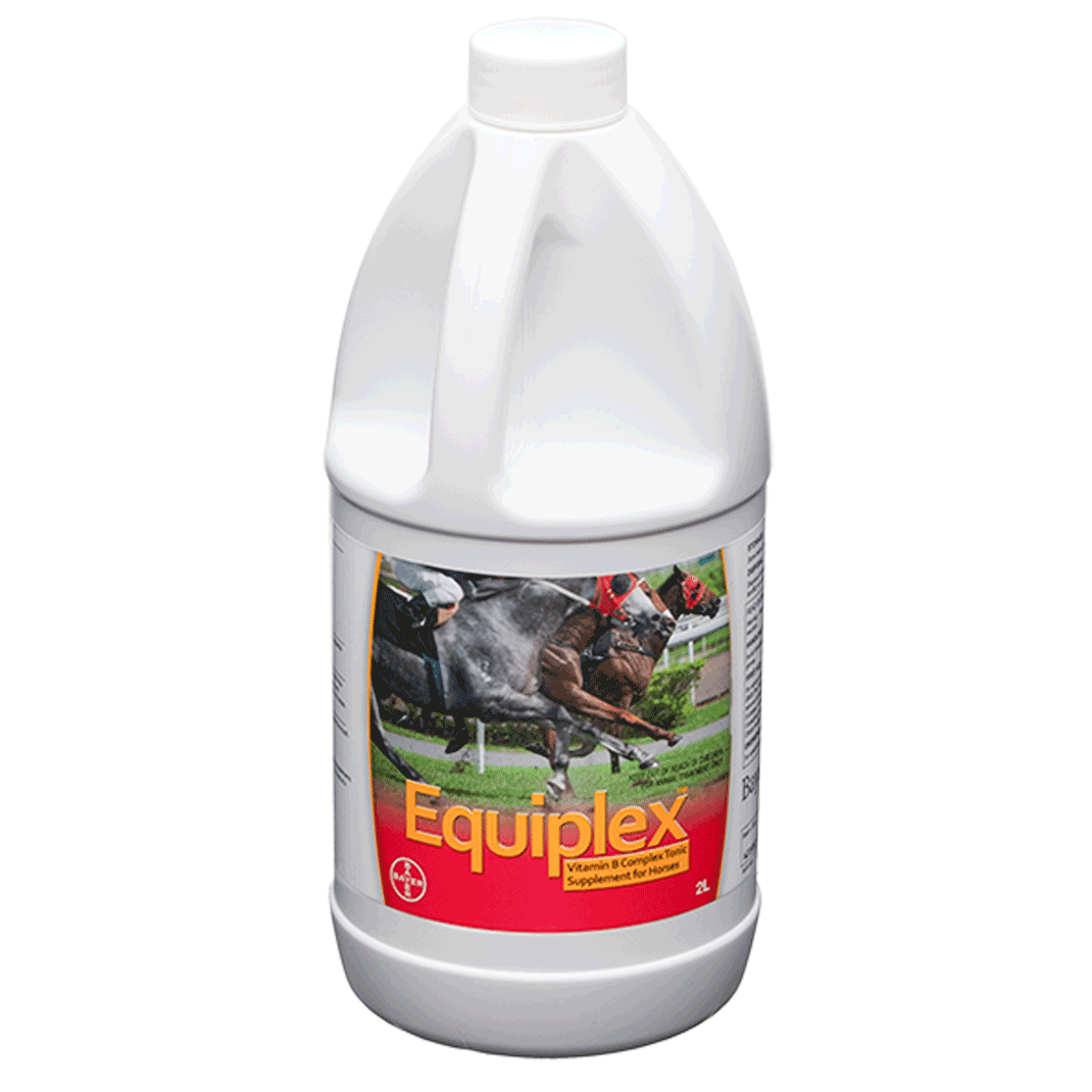 Equiplex 2L
