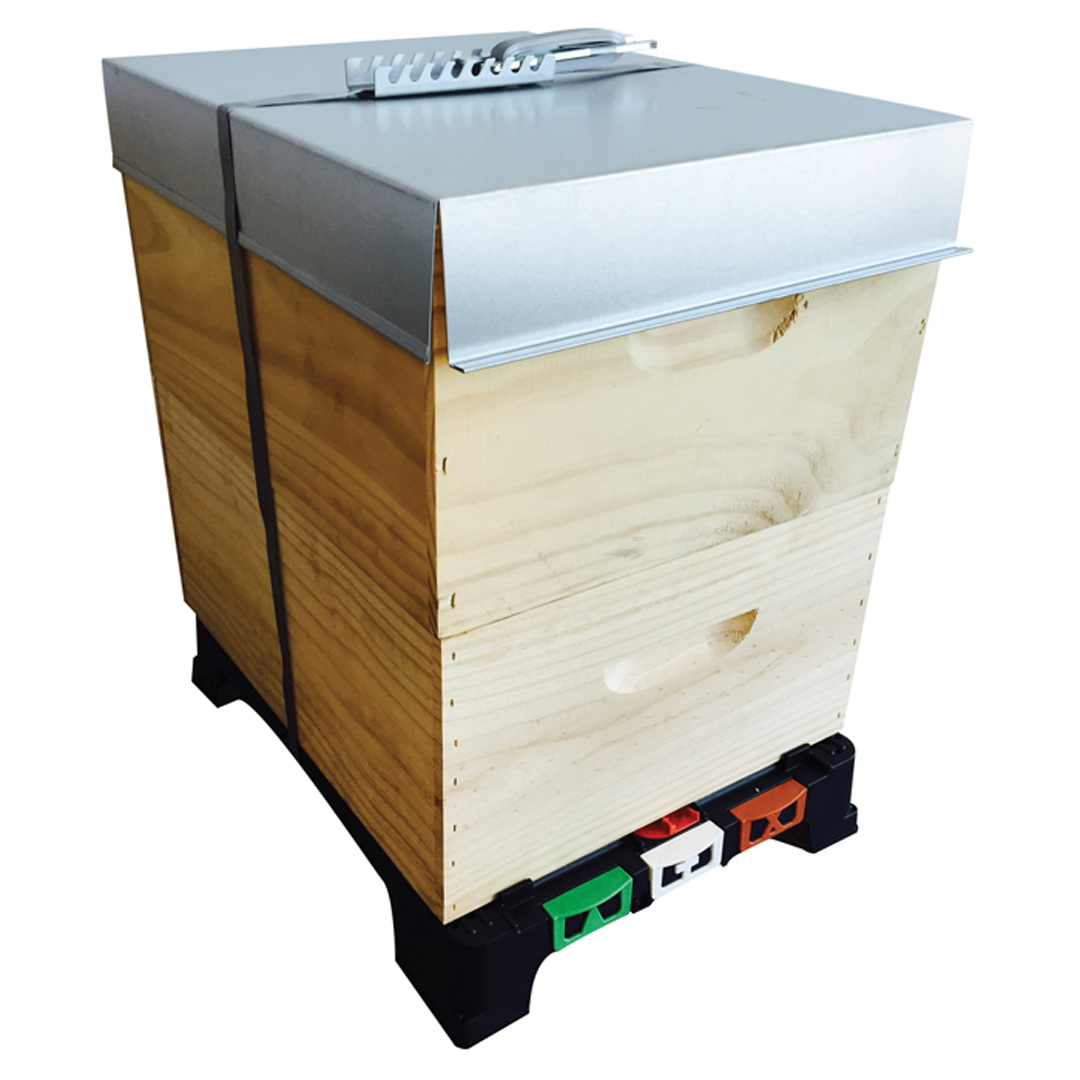 Ecrotek RTG Hive Full Depth Dipped With 2 Storey