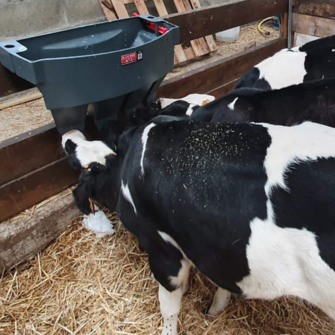 Milk Bar Calf Feeder 4 Compartment