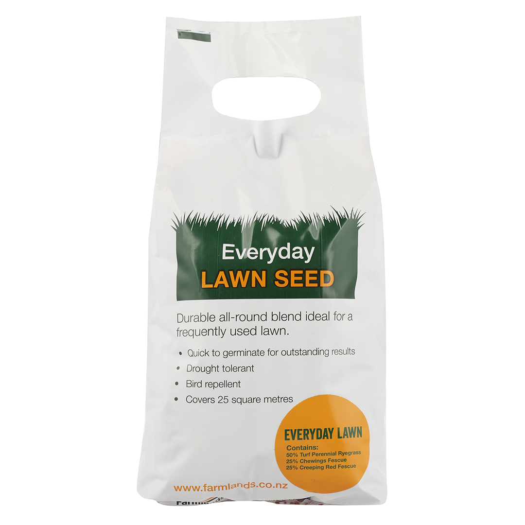 Everyday Home Lawn 1kg