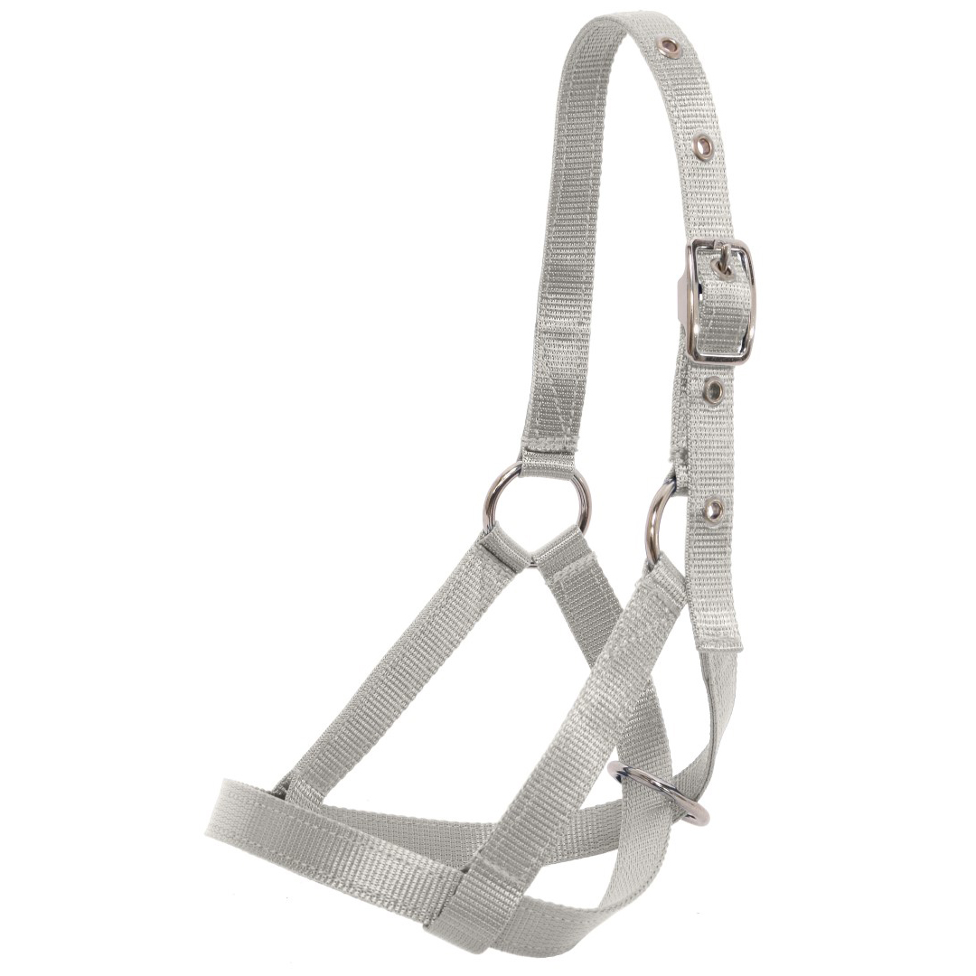 Arion Flair Economy Nylon Halter