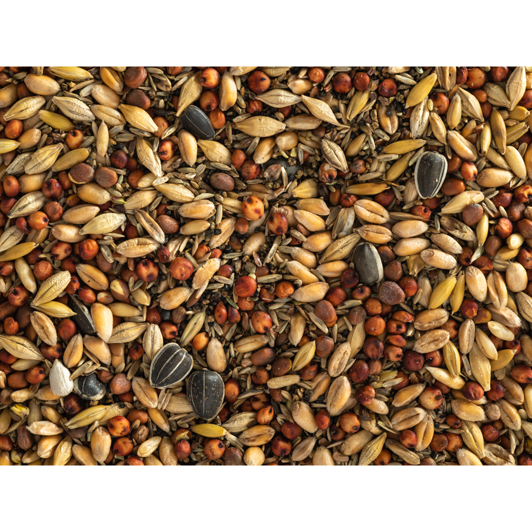 Topflite Wild Bird Seed 5kg