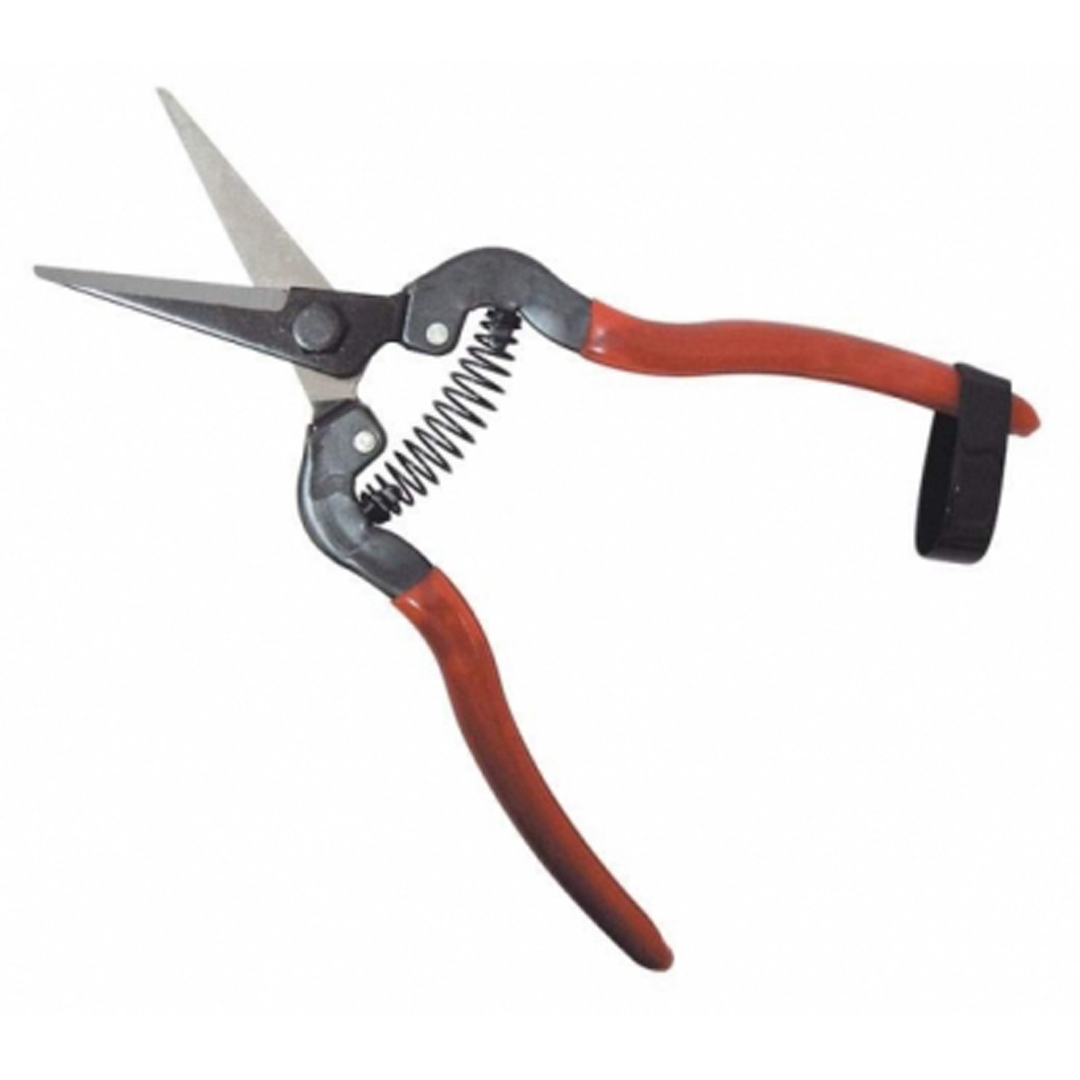 Pro Horto Fruit Snip Long Nose