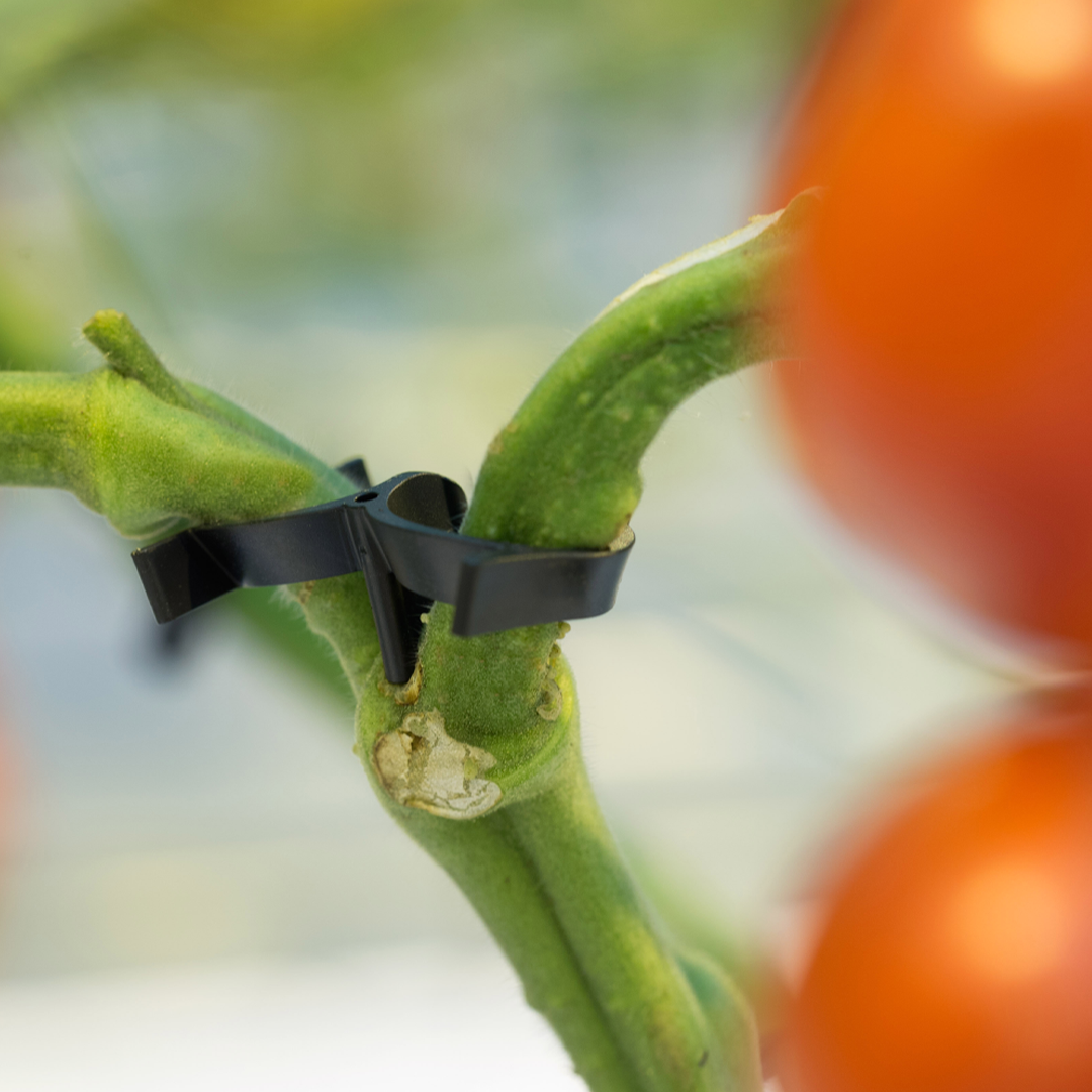 Araymond Twinhook  Polypropylene 6000pkt BK