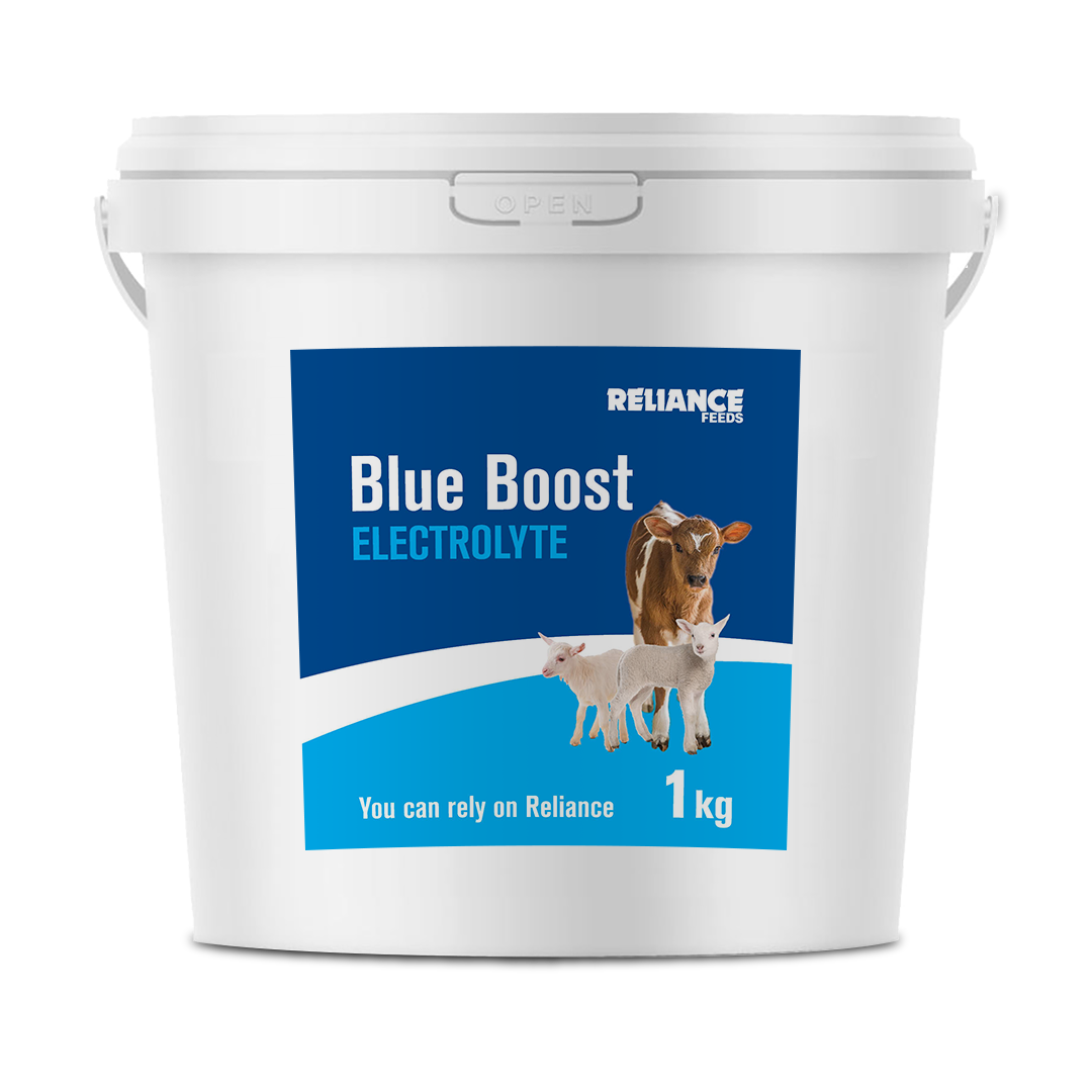 Reliance Blue Boost Electrolyte 1kg