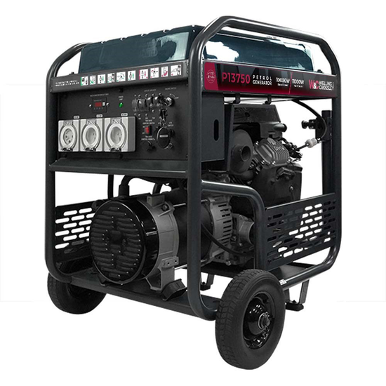 W&C P13750 Open Frame AVR Generator 10000W 13.73kVA