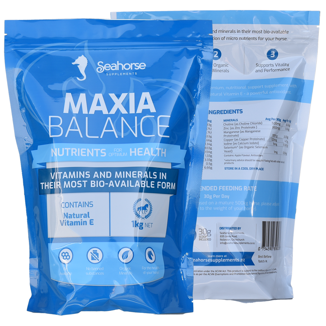 Maxia Balance 1kg