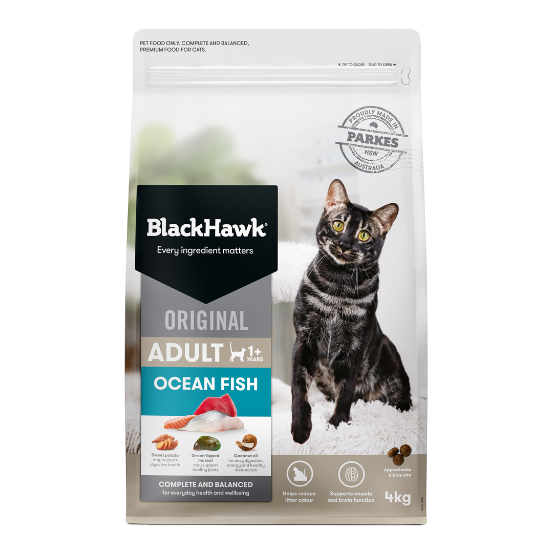 Black Hawk Orig Cat Ocean Fish 4kg