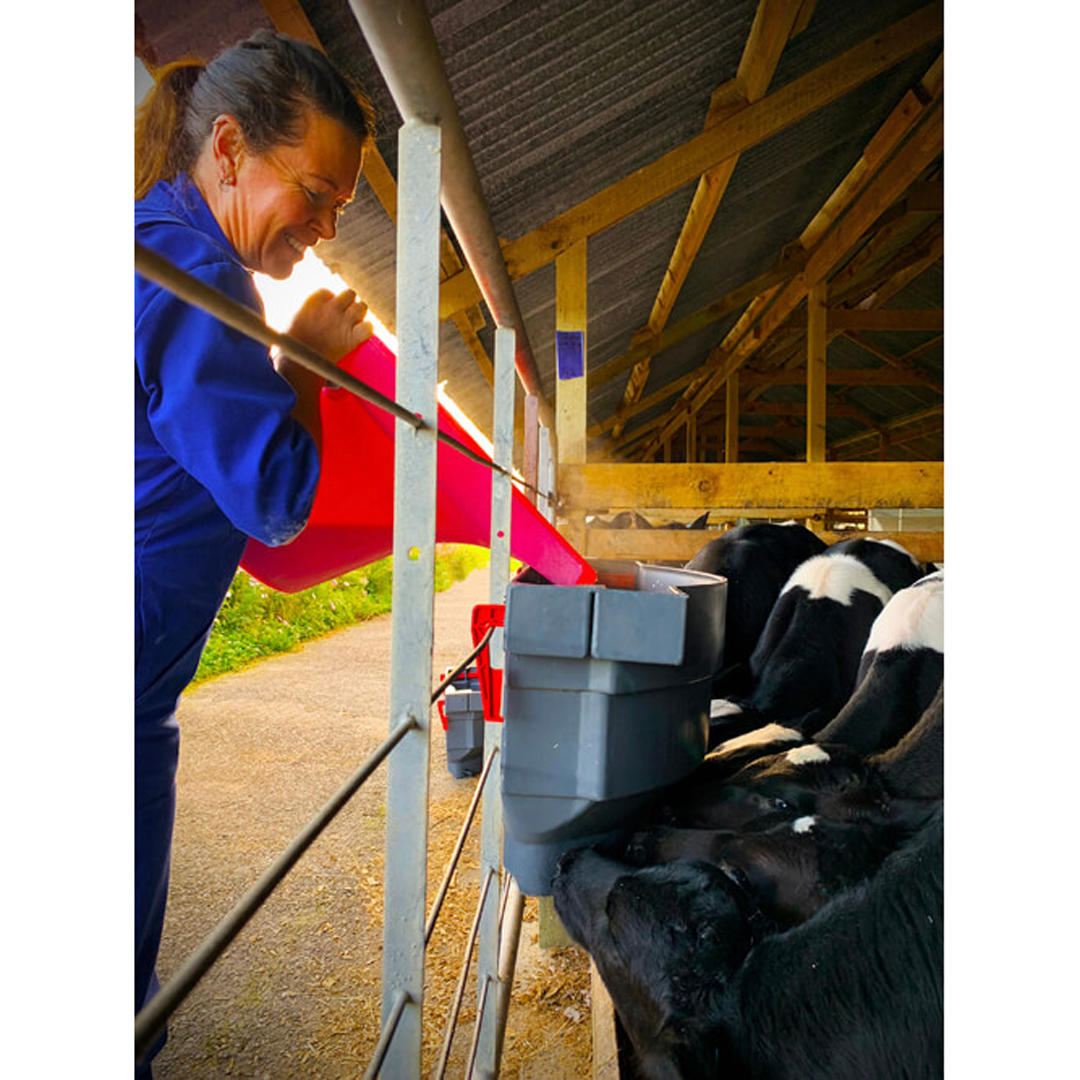 Milk Bar Rail Pail 25L Pink