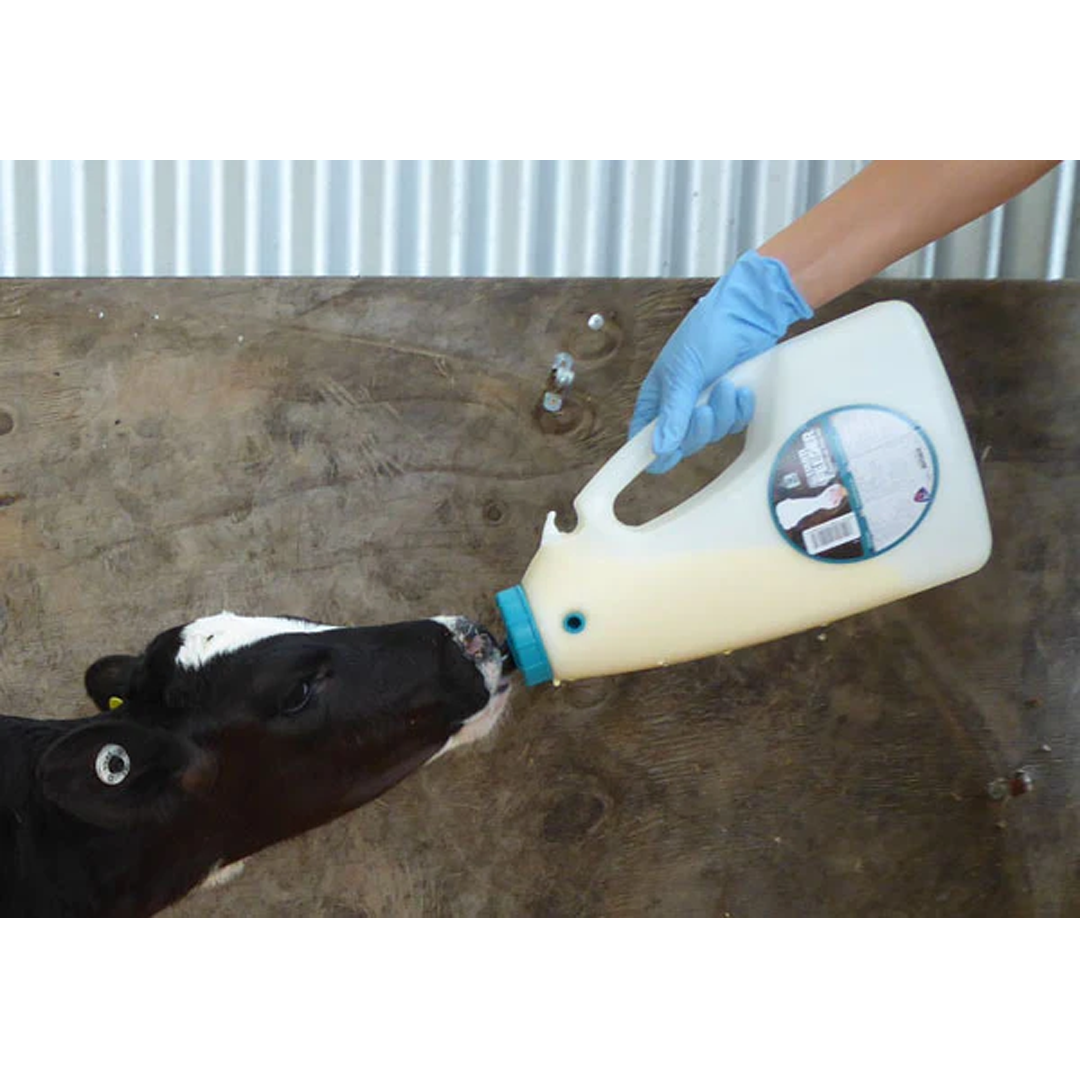 Antahi Feeder and Teat Cap