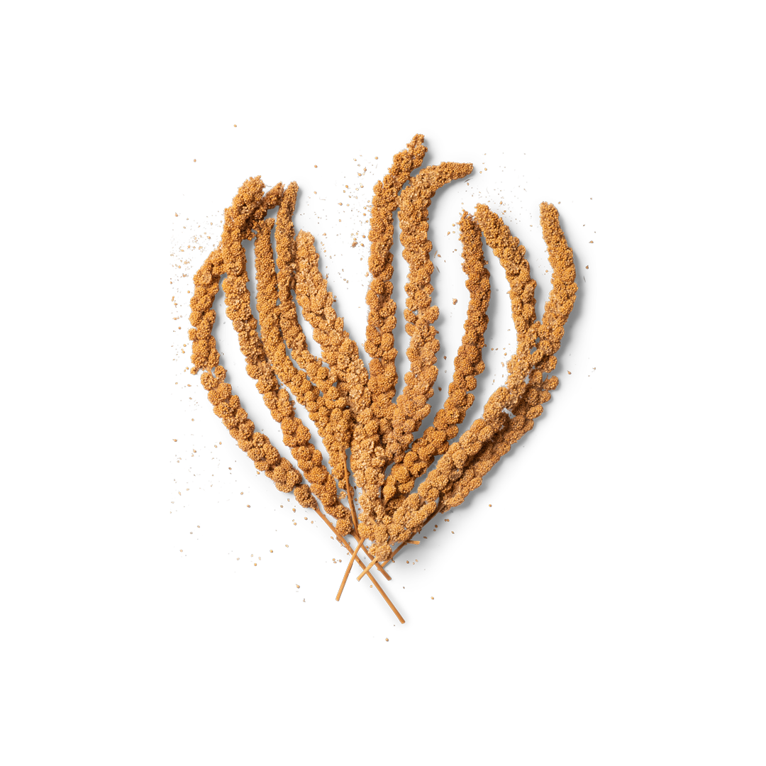 Topflite Millet Spray 25 Packet