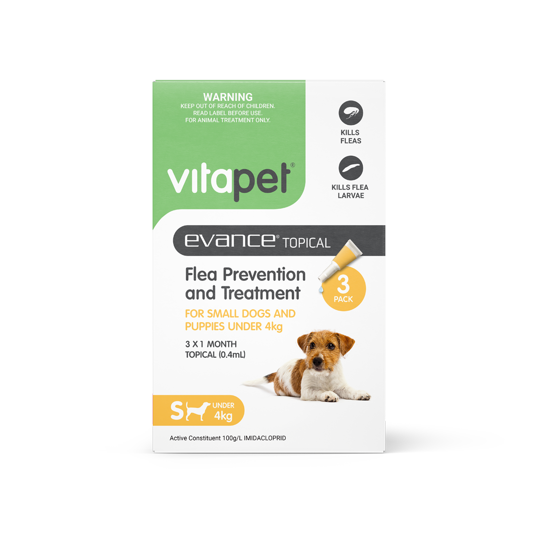 Evance Flea Prevention & Treatment Dog Under 4kg