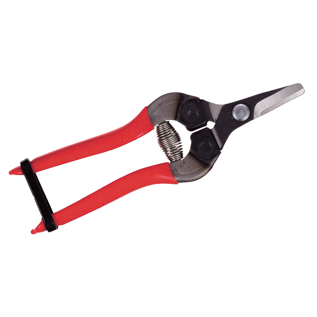 ARS Fruit Snips Curved Nose 310