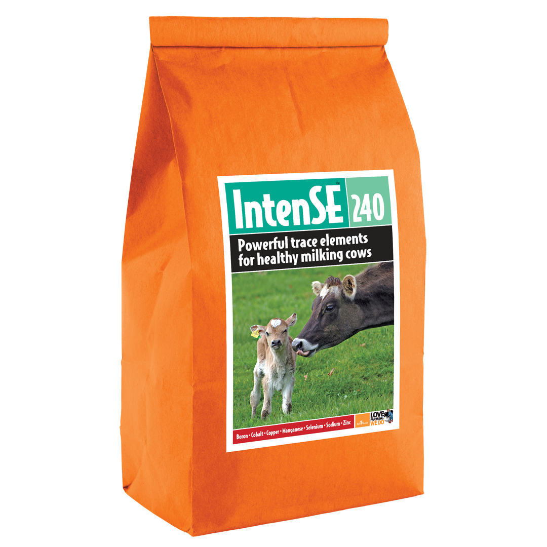 Bell-Booth Intense 240 20kg