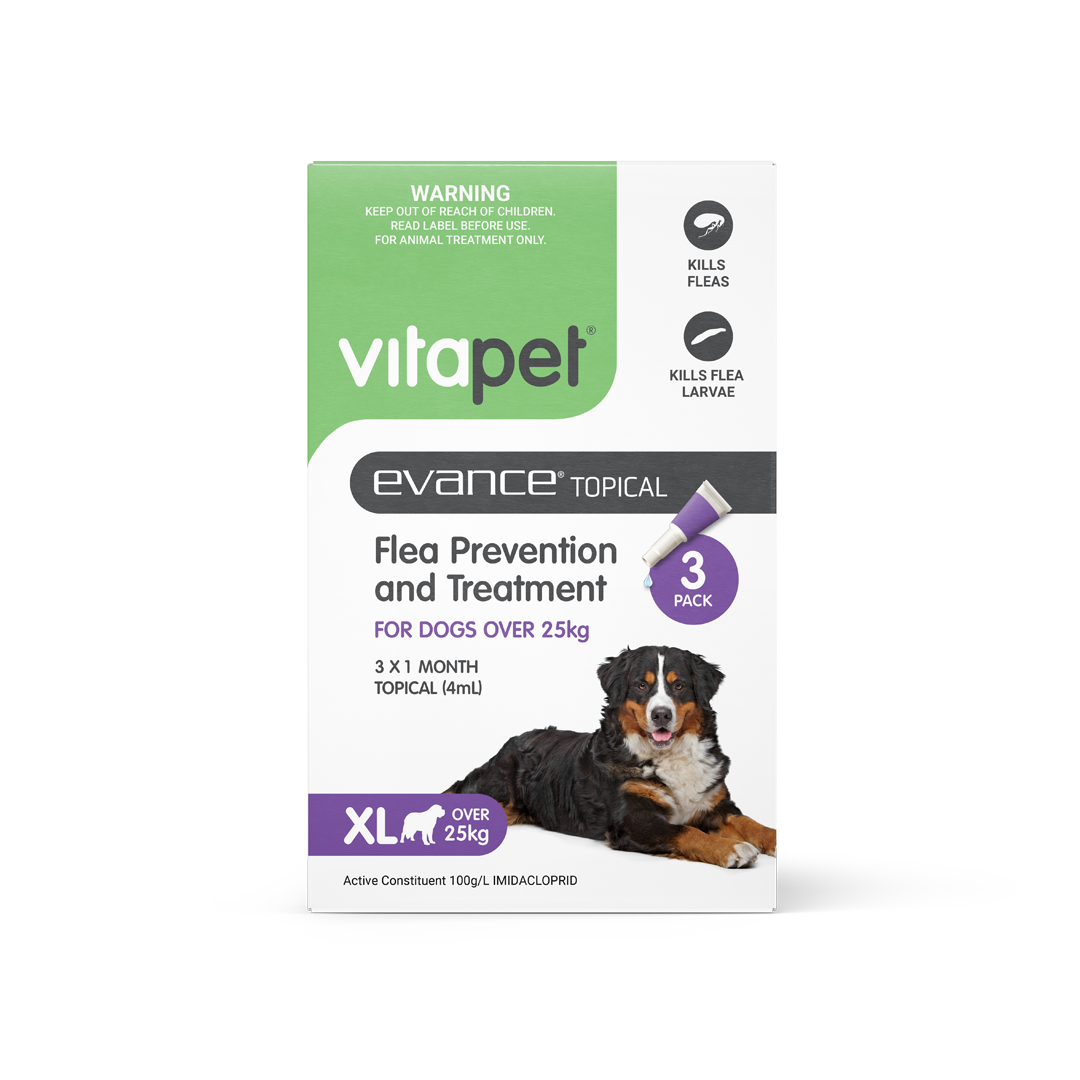 Evance Flea Prevention & Treatment Dog Over 25kg