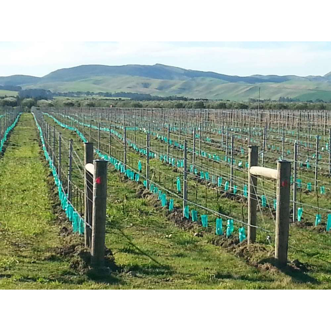 Flexoplas Spray Guard 100 x 400 150mu NonSlit Green 100 Pack