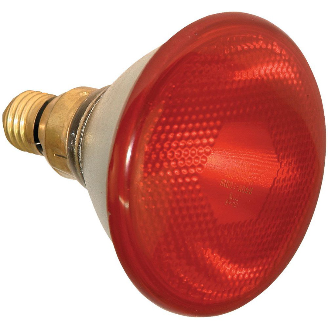 Kerbl Brooder Lamp 100 Watt